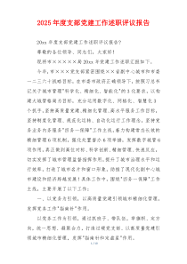 2025年度支部党建工作述职评议报告