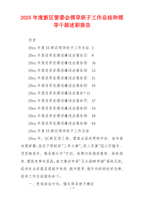 2025年度新区管委会领导班子工作总结和领导干部述职报告