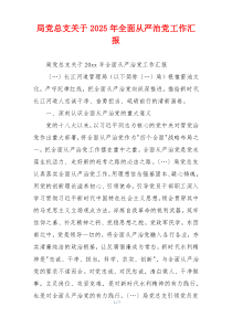 局党总支关于2025年全面从严治党工作汇报