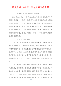局党支部2025年上半年党建工作总结