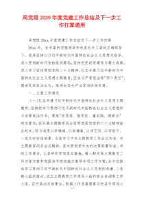 局党组2025年度党建工作总结及下一步工作打算通用