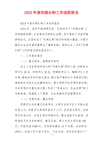 2025年度河湖长制工作述职报告