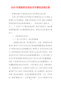 2025年度组织生活会召开情况总结汇报