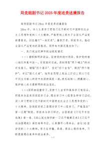 局党组副书记2025年度述责述廉报告
