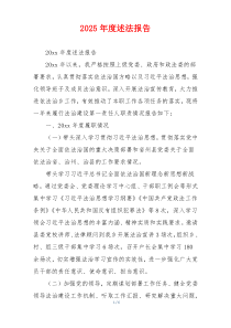 2025年度述法报告