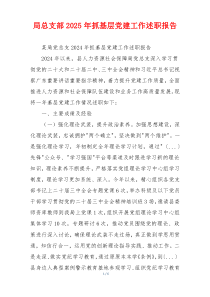 局总支部2025年抓基层党建工作述职报告