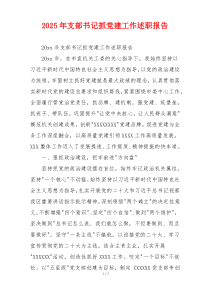 2025年支部书记抓党建工作述职报告