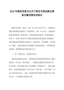 2025年集团党委书记关于落实市委巡察反馈意见整改情况的报告