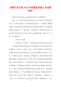 巡察办党支部2025年抓基层党建工作述职报告