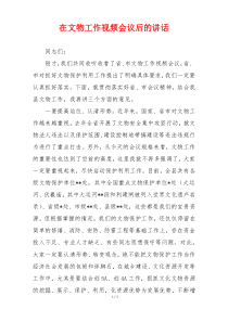 在文物工作视频会议后的讲话