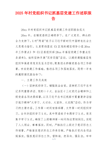 2025年村党组织书记抓基层党建工作述职报告