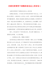 在新任职领导干部集体谈话会上的讲话1