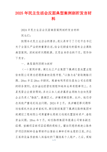 2025年民主生活会反面典型案例剖析发言材料