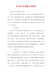 市2025年党建工作要点