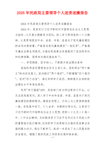 2025年民政局主要领导个人述责述廉报告