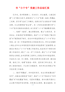 市“小个专”党建工作总结汇报
