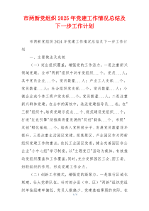 市两新党组织2025年党建工作情况总结及下一步工作计划