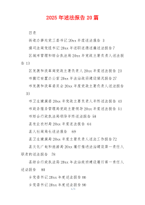 2025年述法报告20篇