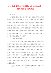 在水旱灾害防御工作领导小组2025年第一次全体会议上的讲话