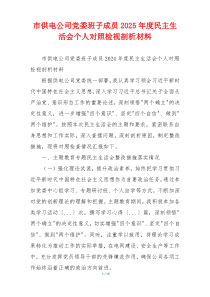 市供电公司党委班子成员2025年度民主生活会个人对照检视剖析材料