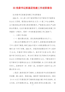 XX党委书记抓基层党建工作述职报告