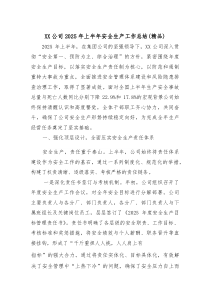 XX公司2025年上半年安全生产工作总结（精品）