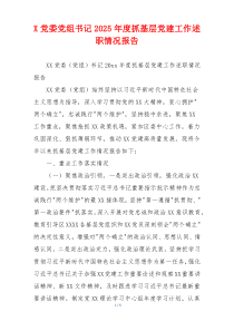 X党委党组书记2025年度抓基层党建工作述职情况报告