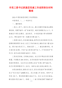 市党工委书记抓基层党建工作述职报告材料整理