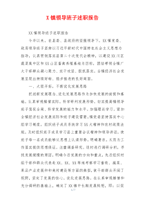 X镇领导班子述职报告