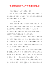 市公安局2025年上半年党建工作总结