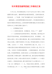 市共青团党建带团建工作情况汇报