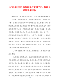 [4700字]2025年检察系统党组书记、检察长述职述廉报告