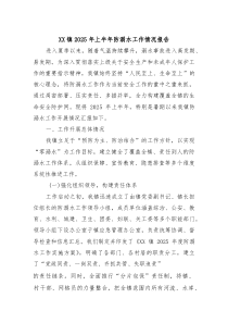 XX镇2025年上半年防溺水工作情况报告