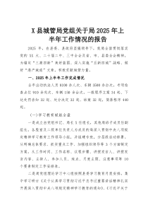 X县城管局党组关于局2025年上半年工作情况的报告