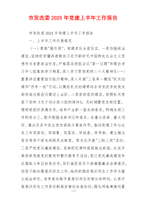 市发改委2025年党建上半年工作报告