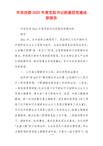 市发改委2025年度党组书记抓基层党建述职报告