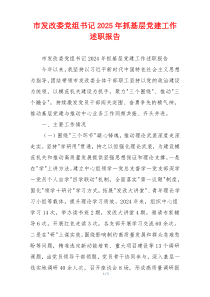 市发改委党组书记2025年抓基层党建工作述职报告