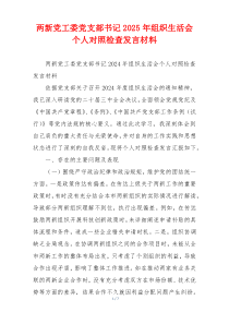 两新党工委党支部书记2025年组织生活会个人对照检查发言材料