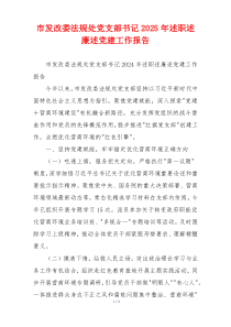 市发改委法规处党支部书记2025年述职述廉述党建工作报告