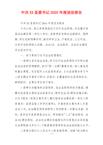 中共XX县委书记2025年度述法报告
