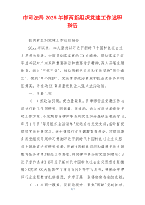 市司法局2025年抓两新组织党建工作述职报告