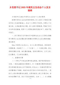 乡党委书记2025年度民主生活会个人发言提纲