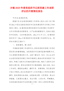 乡镇2025年度党组织书记抓党建工作述职评议的开展情况报告