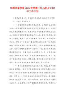 市国资委党委2025年党建工作总结及2025年工作计划