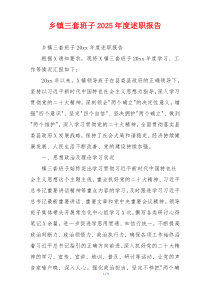 乡镇三套班子2025年度述职报告