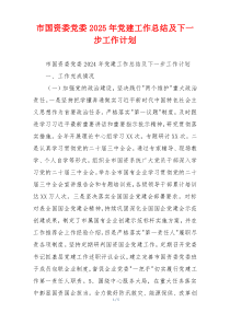 市国资委党委2025年党建工作总结及下一步工作计划