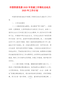 市国资委党委2025年党建工作情况总结及2025年工作计划