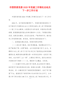 市国资委党委2025年党建工作情况总结及下一步工作计划