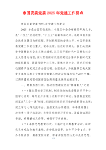 市国资委党委2025年党建工作要点