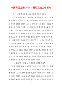 市国资委党委2025年基层党建工作要点